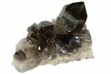 Dark Smoky Quartz Crystal Cluster - Brazil #84849-1